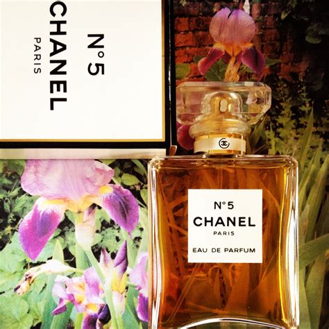 chanel 5 fragrance notes|chanel number 5 perfume notes.